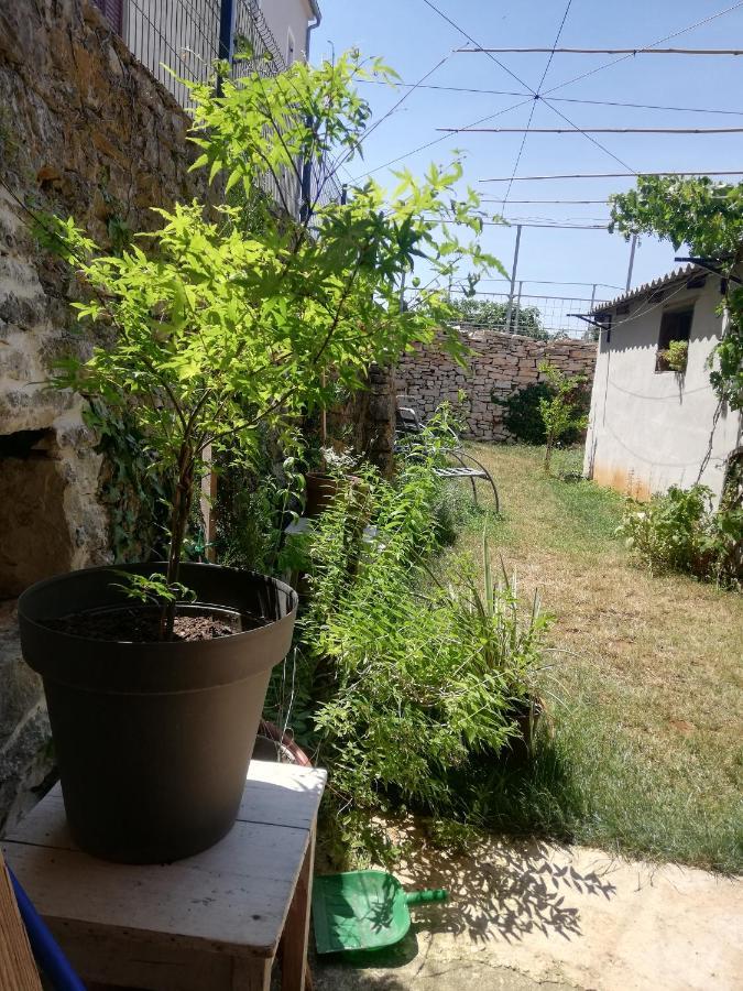 Old Istrian House,Free Parking Apartment Galižana Екстериор снимка